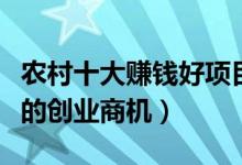 农村十大赚钱好项目（农村都有哪些不可错过的创业商机）