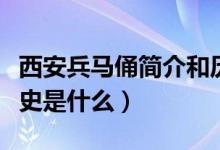 西安兵马俑简介和历史（西安兵马俑简介和历史是什么）