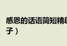 感恩的话语简短精辟（简短精辟关于感恩的句子）