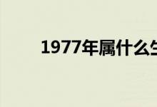 1977年属什么生肖（1977年属蛇）