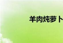 羊肉炖萝卜（羊肉炖萝卜）