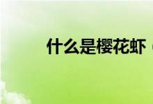 什么是樱花虾（樱花虾简单介绍）