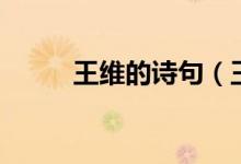 王维的诗句（王维的诗句有哪些）