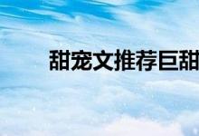 甜宠文推荐巨甜（主要讲述了什么）