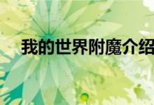 我的世界附魔介绍（我的世界怎么附魔）