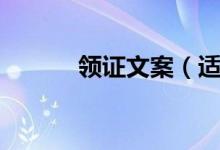 领证文案（适合领证发的句子）