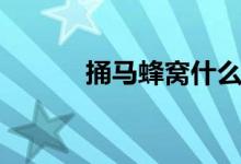 捅马蜂窝什么意思（捅马蜂窝）