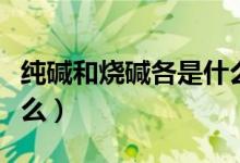 纯碱和烧碱各是什么（纯碱和烧碱化学式是什么）