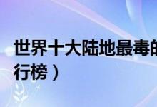 世界十大陆地最毒的蛇（世界十大陆生毒蛇排行榜）