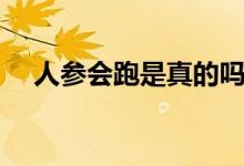 人参会跑是真的吗（它的成长期要多久）