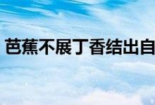 芭蕉不展丁香结出自哪首诗（出自代赠二首）