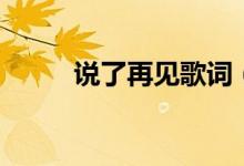 说了再见歌词（说了再见演唱者）