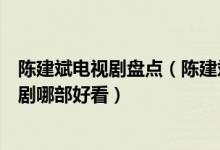 陈建斌电视剧盘点（陈建斌电视剧大全集陈建斌主演的电视剧哪部好看）