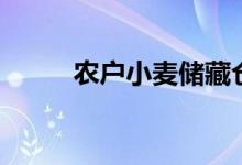 农户小麦储藏仓（农户小额贷款）