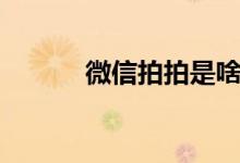 微信拍拍是啥意思（微信拍拍）