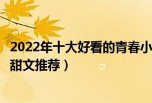 2022年十大好看的青春小说（青春校园小说排行榜青春小说甜文推荐）