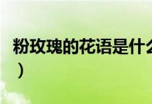 粉玫瑰的花语是什么意思（粉玫瑰代表的寓意）