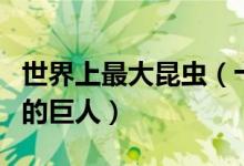 世界上最大昆虫（十种体积最大的昆虫昆虫中的巨人）