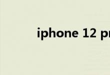 iphone 12 pro max（ip电话）