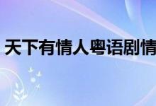 天下有情人粤语剧情（天下有情人粤语歌词）