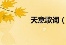 天意歌词（天意歌词介绍）