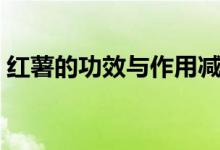 红薯的功效与作用减肥（红薯的功效是什么）
