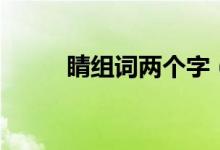 睛组词两个字（睛的组词有哪些）