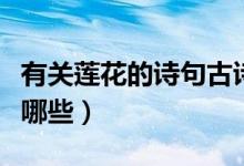有关莲花的诗句古诗（有关莲花的诗句古诗有哪些）