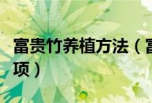 富贵竹养植方法（富贵竹的养殖方法和注意事项）