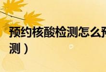 预约核酸检测怎么预约（怎么预约预约核酸检测）