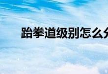 跆拳道级别怎么分（跆拳道级别介绍）