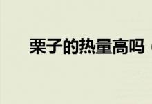 栗子的热量高吗（栗子的热量高不高）