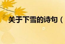 关于下雪的诗句（25句关于下雪的诗句）