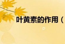 叶黄素的作用（叶黄素有哪些作用）