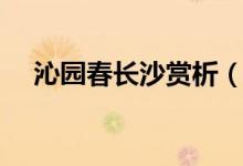 沁园春长沙赏析（沁园春长沙诗词赏析）