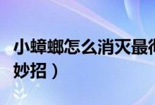 小蟑螂怎么消灭最彻底（消灭小蟑螂的六个小妙招）