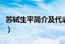 苏轼生平简介及代表作品（苏轼的作品有哪些）
