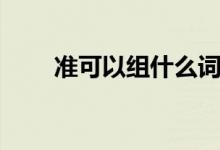 准可以组什么词（准能够组什么词）