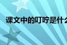 课文中的叮咛是什么意思（叮咛意思介绍）