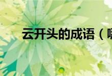 云开头的成语（哪些成语是云开头的）