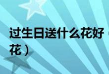 过生日送什么花好（在生日的时候可以送什么花）