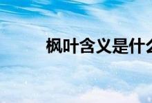 枫叶含义是什么（枫树叶的寓意）