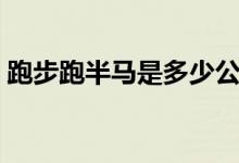 跑步跑半马是多少公里（半马又是多少公里）