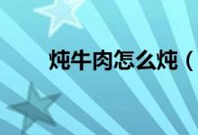 炖牛肉怎么炖（炖牛肉的烹饪方法）
