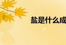 盐是什么成分（盐的简介）