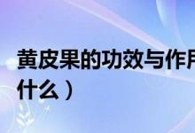 黄皮果的功效与作用（黄皮果的功效与作用是什么）