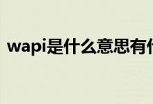 wapi是什么意思有什么功能（wapi是什么）
