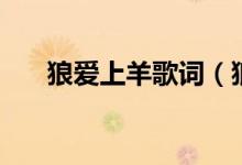 狼爱上羊歌词（狼爱上羊歌词是什么）