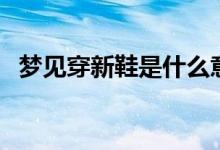 梦见穿新鞋是什么意思（梦见穿新鞋介绍）