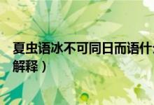 夏虫语冰不可同日而语什么意思（夏虫语冰不可同日而语的解释）